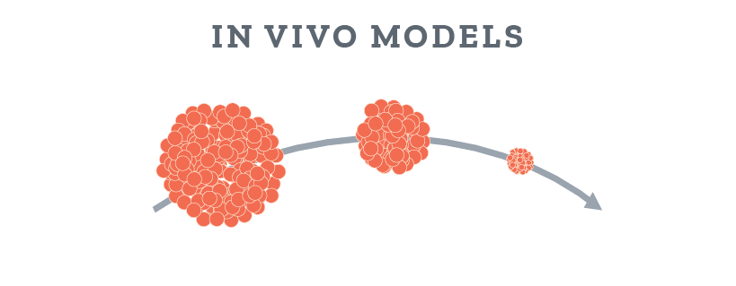 in vivo models